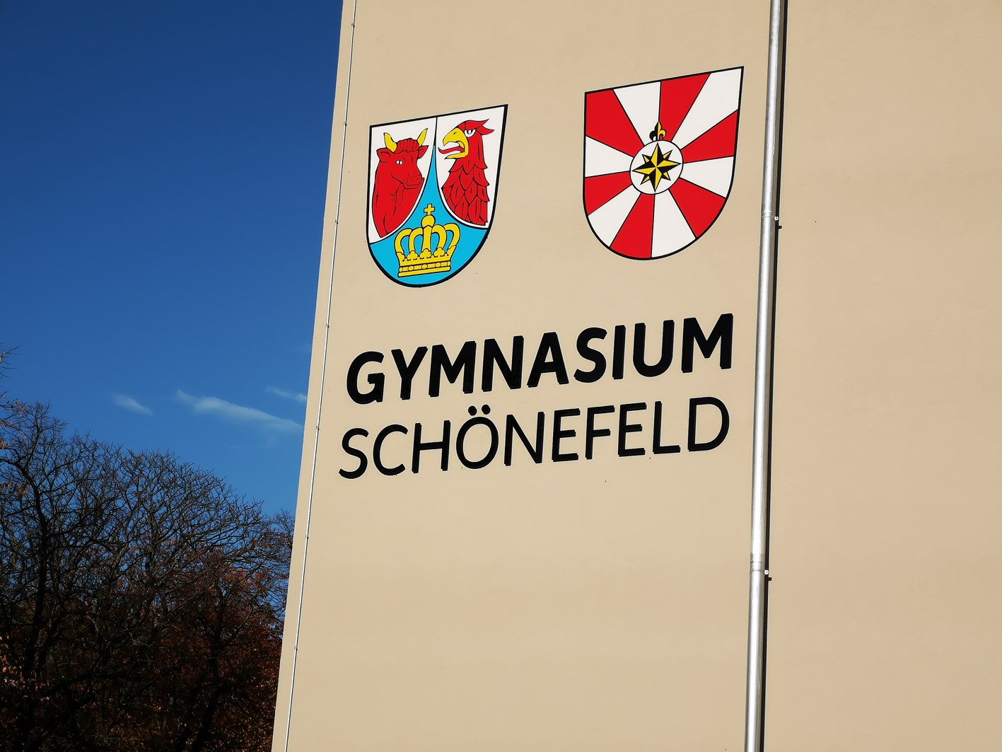 Transformation numérique des salles de classe grâce à l'écran numérique interactif Creative Touch