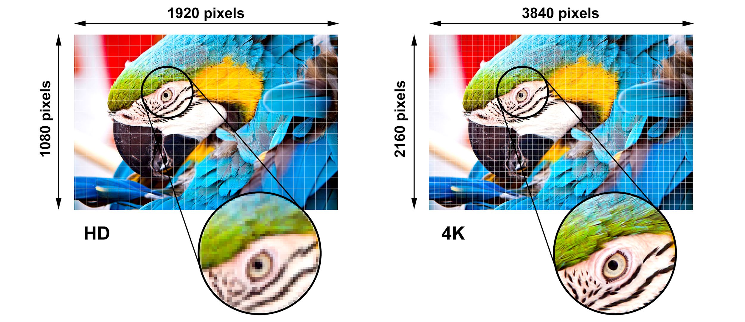 Résolution 4K Ultra HD 